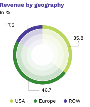 KPIT Technologies revenue by geography